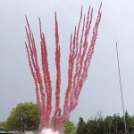 СУ0502512P Пирофф Дневная батарея салютов розовая веер 25*1,2(треск+свист) 4/1  - Piroff фейерверки, салюты оптом от поставщика