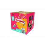 SB133 Сибирь Красивый 36*1 веер 6/1  - Сибирь