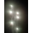 SL009_Сибирь_ Медузы_20/1