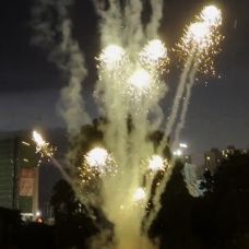 ФЛ0906 Пироф Летающий фейерверк Медуза (золото) 20/1