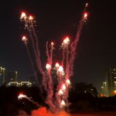 ФЛ0906R_Пироф_Летающий фейерверк Медуза (красный)_20/1 