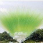 СУ0305012LG Пирофф Дневная батарея салютов светло-зеленая 50*1,2 2/1  - Piroff фейерверки, салюты оптом от поставщика