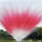 СУ0305012P Пирофф Дневная батарея салютов розовая 50*1,2 2/1   - Piroff фейерверки, салюты оптом от поставщика